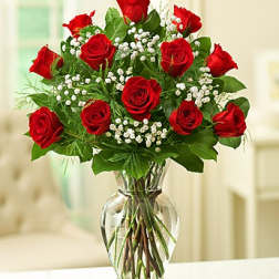 Rose Elegance Premium Long Stem Red Roses