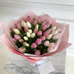 Bouquet of pink and white tulips wrapped in pink paper