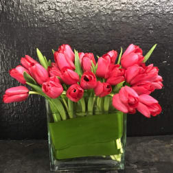 Pink tulips arranged in a clear glass vase with green wrap