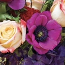 Close-up bouquet with purple flowers and cream roses