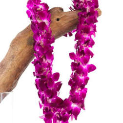 Purple orchid lei draped over a wooden branch