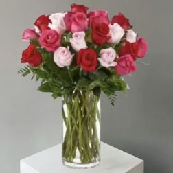 Bouquet of red, pink, and white roses in a clear glass vase