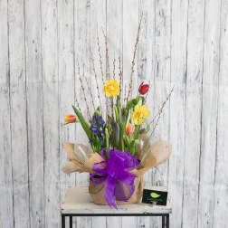 Mixed bouquet with tulips, daffodils, and purple flowers in burlap wrap