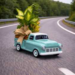 Mini turquoise pickup truck holding a potted leafy plant with a ribbon