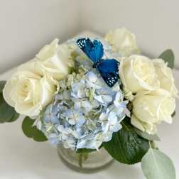 Cream roses and blue hydrangea in a glass vase with a blue butterfly accent