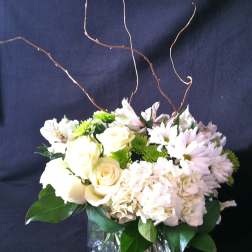 White floral arrangement in a square glass vase with curly branches
