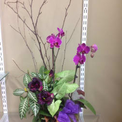 Purple orchids in a decorative planter with a ribbon