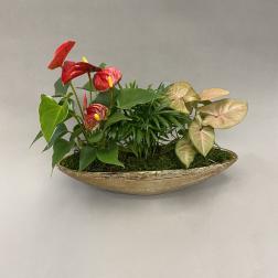 Tropical plant arrangement with red anthuriums in a gold boat planter