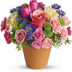 Mixed bouquet of pink roses, tulips, and purple daisies in a tan pot