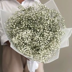 Large bouquet of tiny white flowers wrapped in white paper