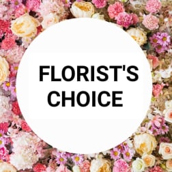 Florist's choice text over a pink and cream flower wall