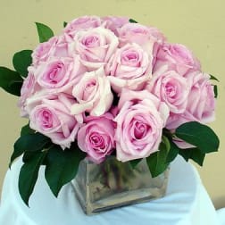Modern Pink Roses