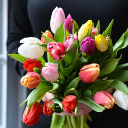 Hand-tied bouquet of mixed-color tulips held against a dark top
