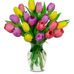 Bouquet of multicolored tulips in a clear glass vase
