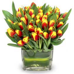 Bouquet of red and yellow tulips in a clear glass vase