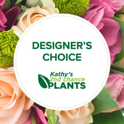 Pink and peach roses with green blooms behind a designer's choice label