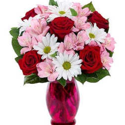 Alstroemeria Romance