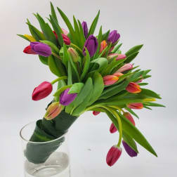 Bouquet of multicolored tulips in a clear glass vase