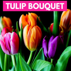 Colorful bouquet of pink, orange, and purple tulips against a dark background.