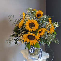 1 Dozen Sunflowers