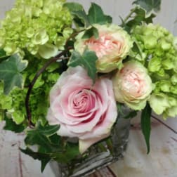 Short arrangement of pale pink roses and green hydrangeas in a clear glass cube vase with trailing ivy