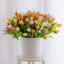 Colorful tulip bouquet in a white pot