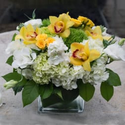 Yellow orchids and white flowers in a square glass vase