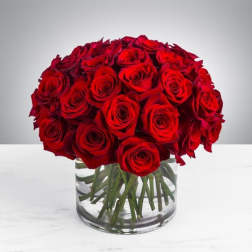 Red roses arranged in a clear glass vase