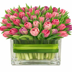 Pink and purple tulips arranged in a clear glass vase