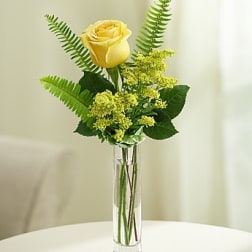Love's Embrace Roses - Yellow 1 stem