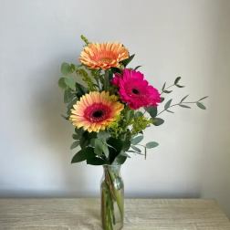 Triple Gerber Daisies Vase