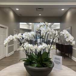 White orchids arranged in a large bowl planter on a table
