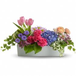 Low rectangular arrangement of pink tulips, carnations, blue hydrangea and mixed blooms in a white container