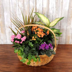 Wicker basket garden with pink, orange, and purple flowering plants and assorted green foliage.