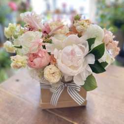 Pastel pink and white peonies and roses arranged in a kraft box with striped ribbon bow