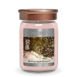 50% OFF! Candleberry Blushing Apple Blossom