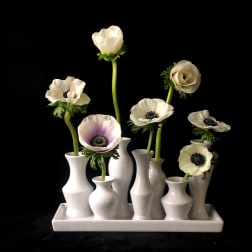 White anemone stems arranged in small white vases on a tray
