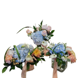 Signature Coastal Elegance Collection