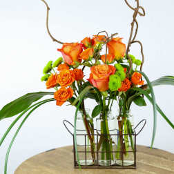 Orange roses in glass bottles with curly branches and green accents