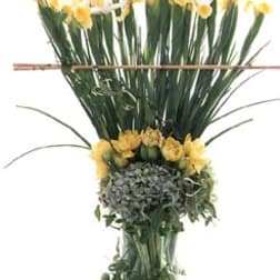 Tall arrangement of yellow daffodils in a clear glass vase