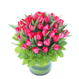 Pink tulips arranged in a glass vase