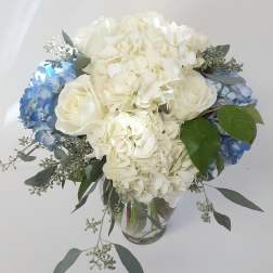 Blue and White Abundance