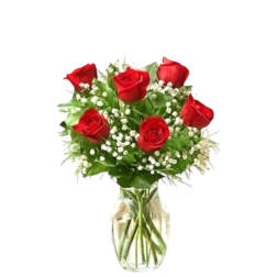 Arrangement of six red roses with white filler flowers in a clear glass vase