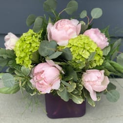 Pink peonies and green hydrangeas in a purple square vase