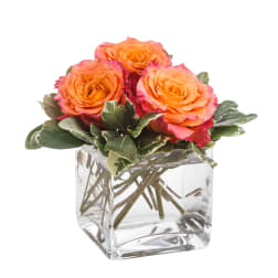 Sunset over Halstead Bay