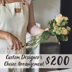 Designer's Choice Unique Designs - $200