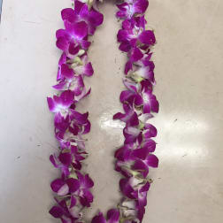 Graduation Lei