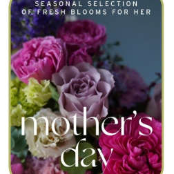 Mother's Day floral card with pink and purple roses