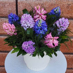 Potted arrangement of pink, purple, and blue hyacinth-style blooms in a white ribbed container