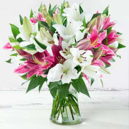 Bouquet of pink and white lilies in a clear glass vase
